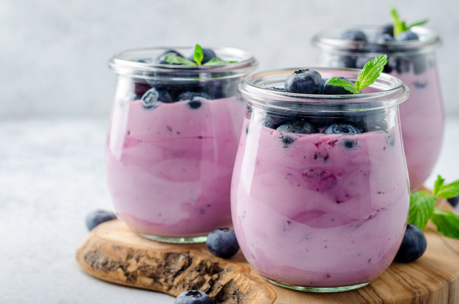 Simple Homemade Blueberry Yogurt