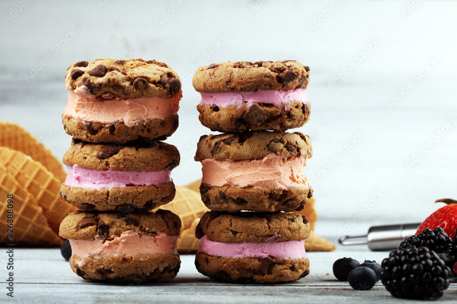 Homemade Ice Cream Sandwiches